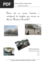 Causas (naturais e antrópicas) da tragédia que ocorreu na ilha da Madeira (Funchal)