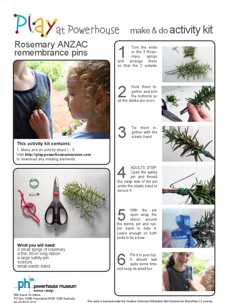 ANZAC Rosemary Remembrance Pin Activity | PDF