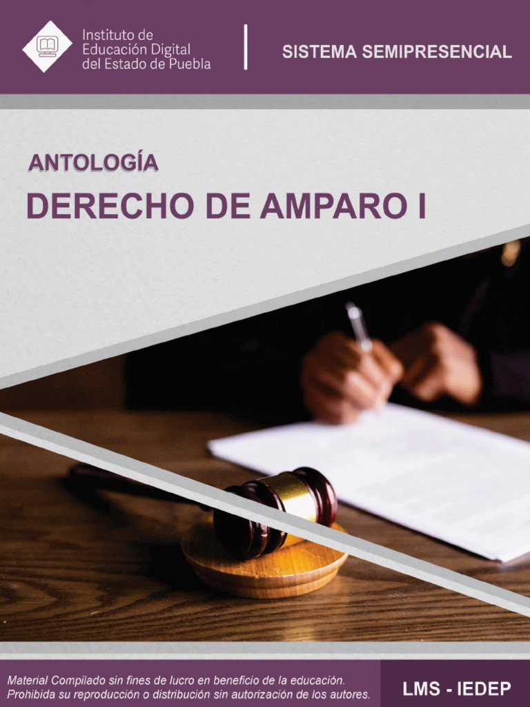 Historia y Función del Juicio de Amparo | PDF | Caso de ley | Constitución