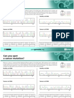 KRAS Student Worksheet V2