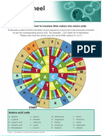 KRAS Codon Wheel