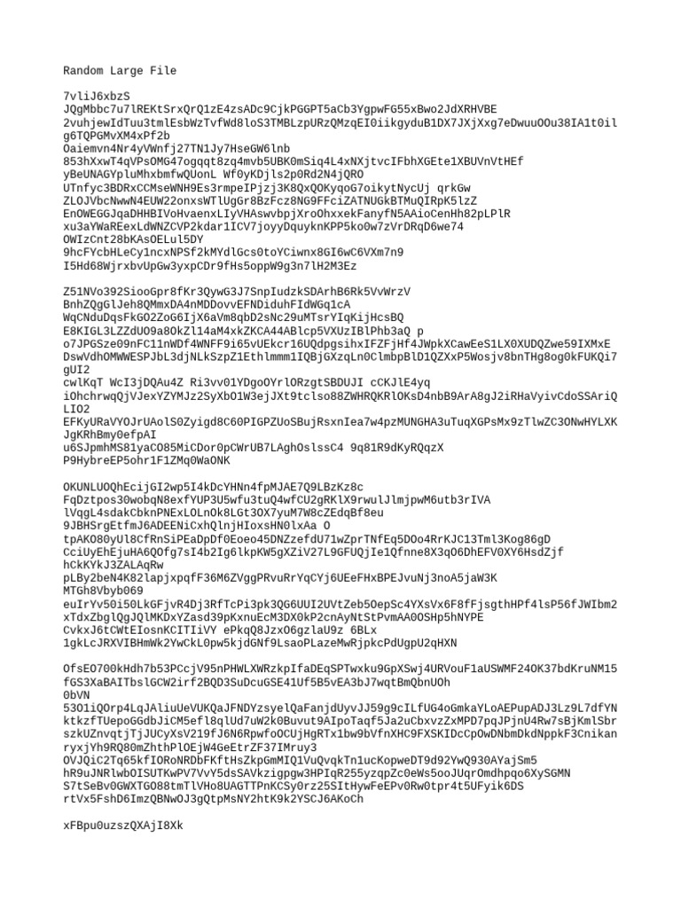 Random Large File Data Overview | PDF