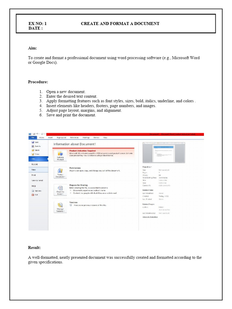 Professional Document Manual | PDF | Microsoft Word | Microsoft Excel