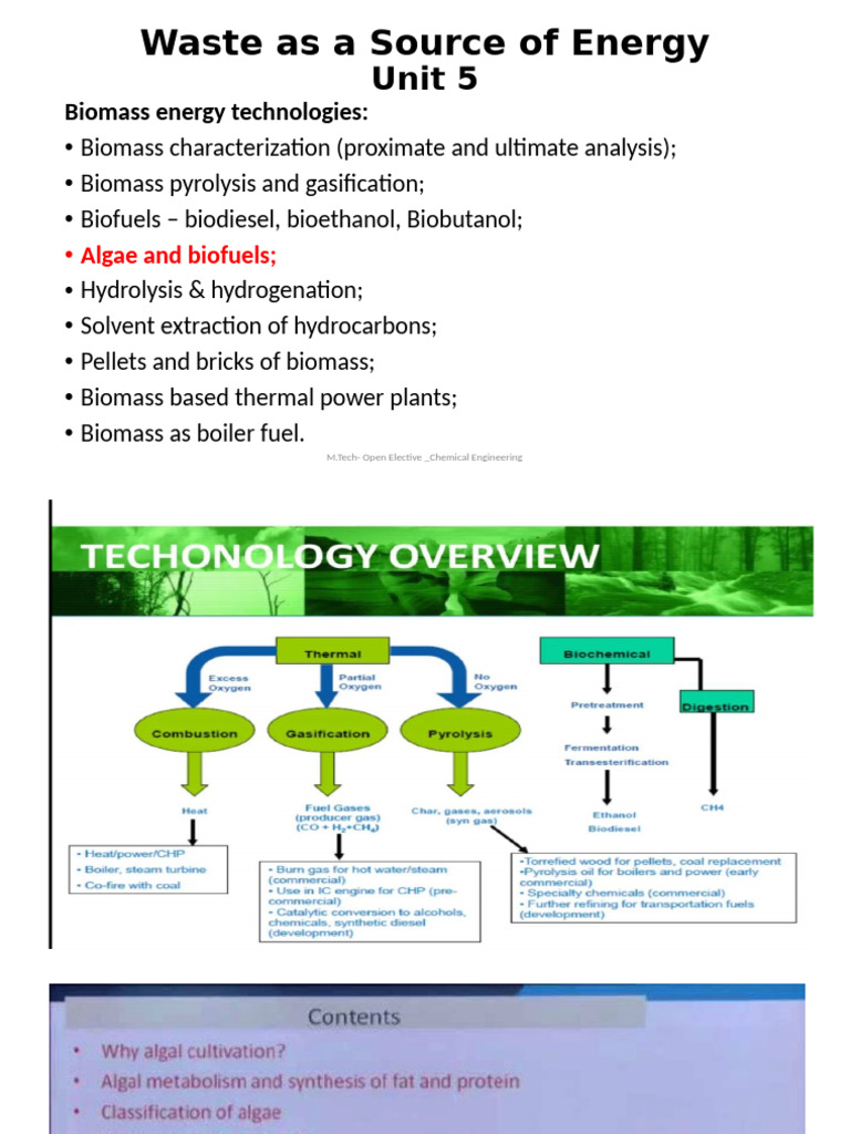 Biomass Energy Technologies Overview | PDF