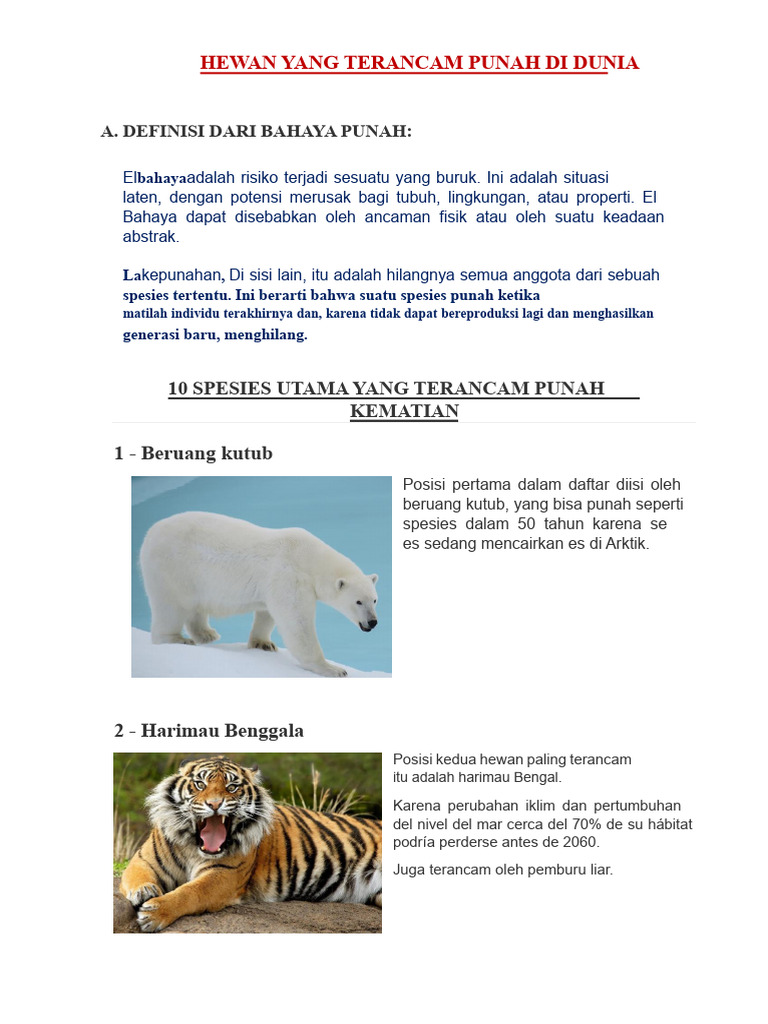 10 Hewan Terancam Punah di Dunia | PDF