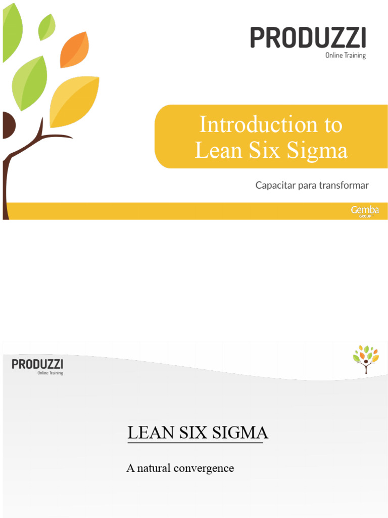 Lean Six Sigma Methodologies Explained | PDF | Six Sigma | Lean ...
