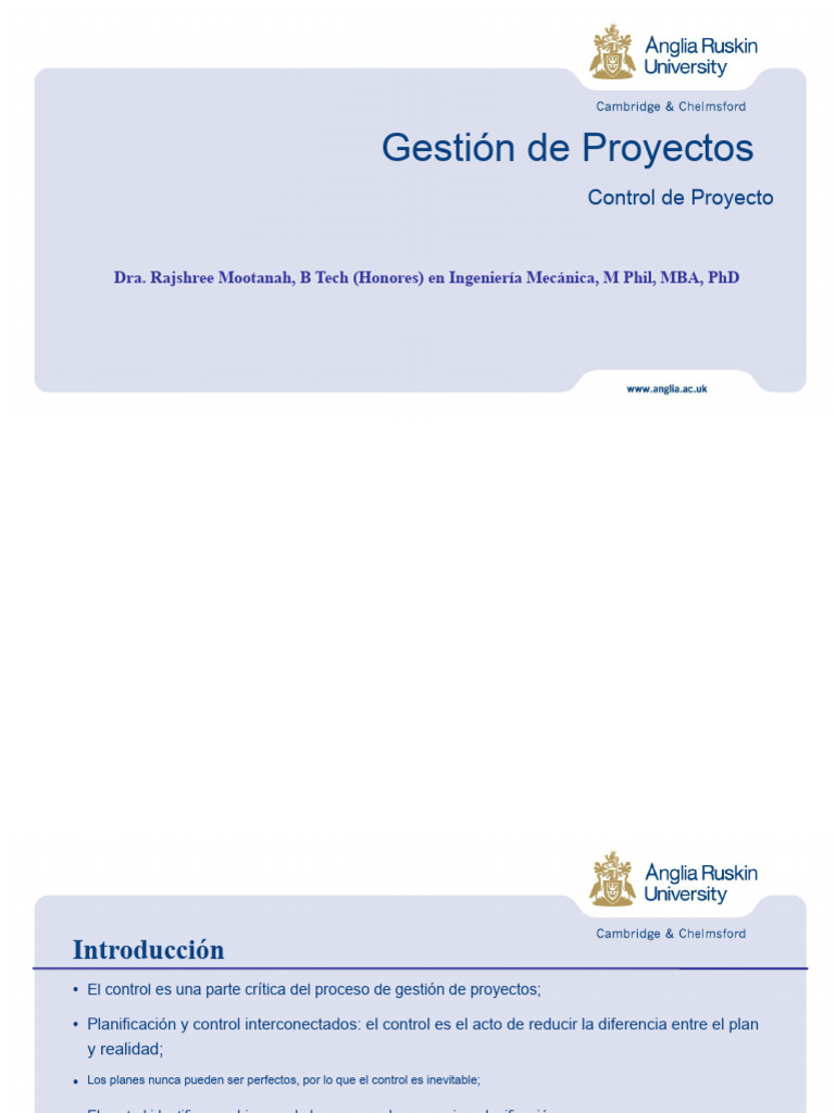 Gestión de Proyectos (Concepto de Control de Proyectos) | PDF | Calidad ...