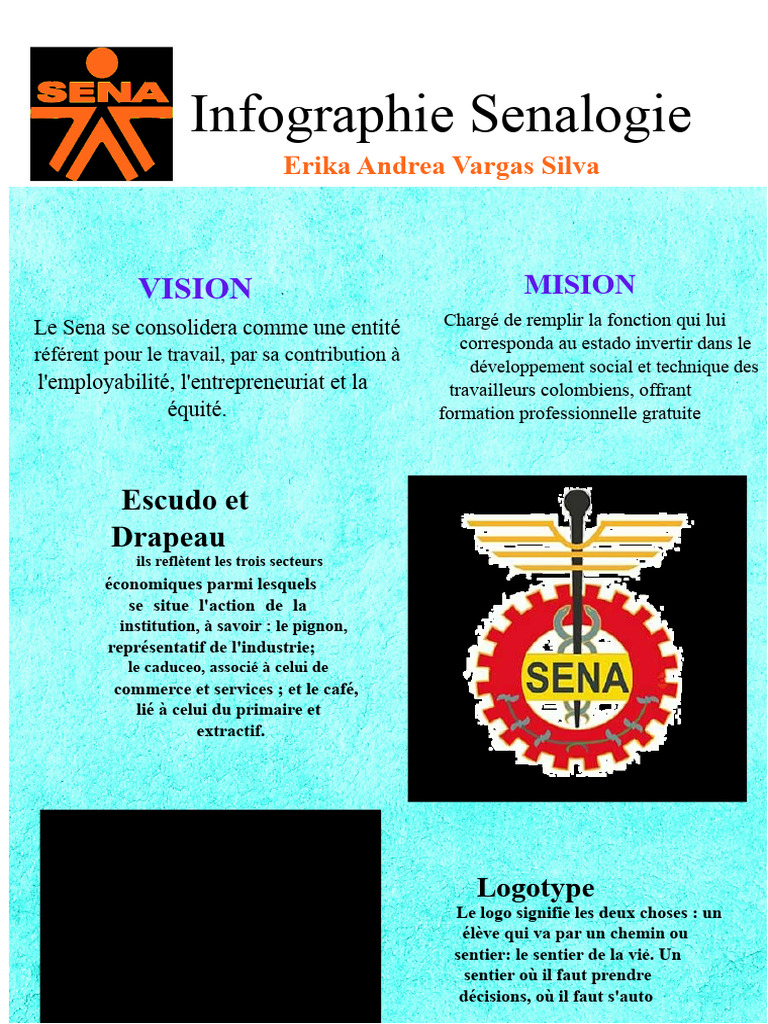Infographie sur la mission et vision du Sena | PDF