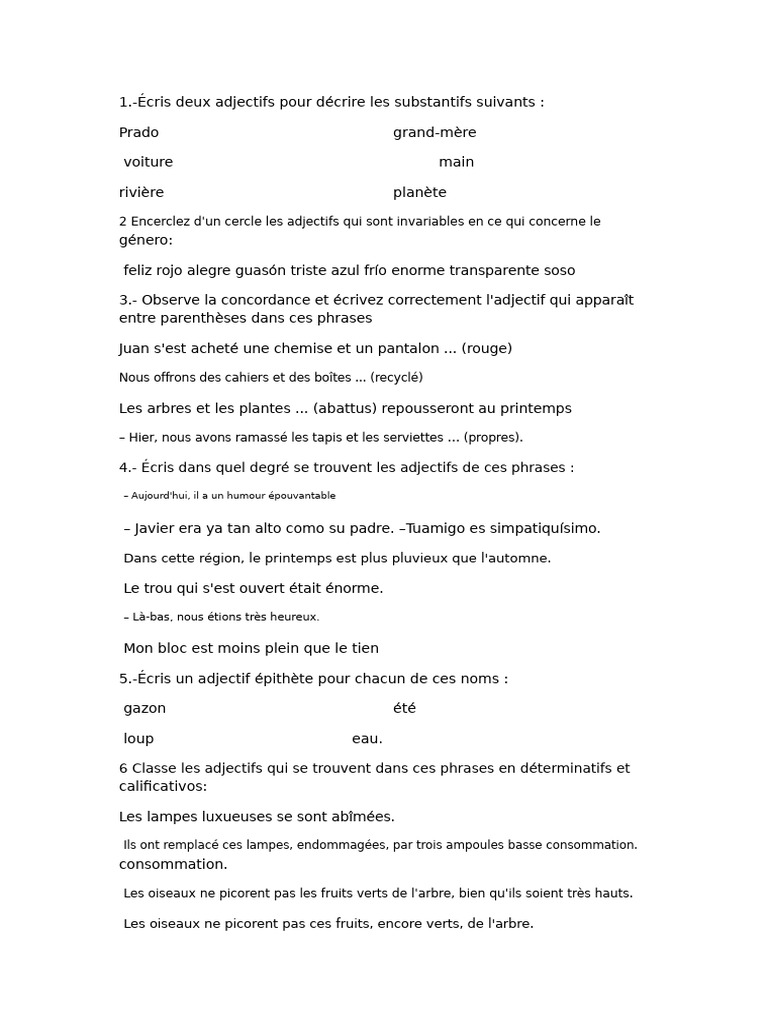 Exercices Sur Les Adjectifs Et La Grammaire PDF Genre Grammatical 