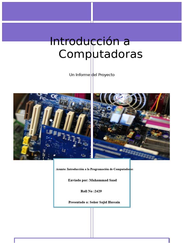 Introducción a la Programación de Computadoras | PDF | Almacenamiento ...