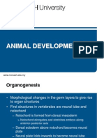 Lect 22 Animal Development