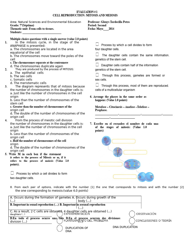 Mitosis and Meiosis Evaluation for 7th Grade | PDF | Mitosis | Meiosis