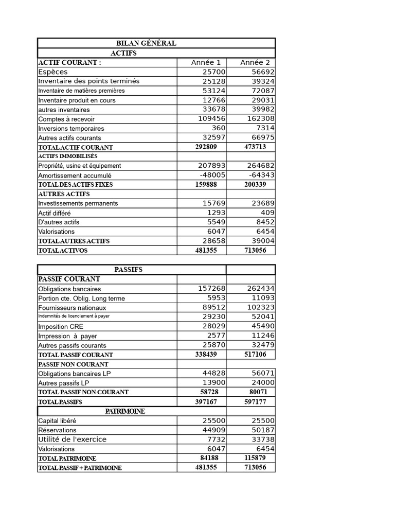 Bilan financier : Actifs et passifs détaillés | PDF | Bilan comptable ...