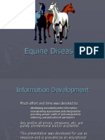 Horse Diseases