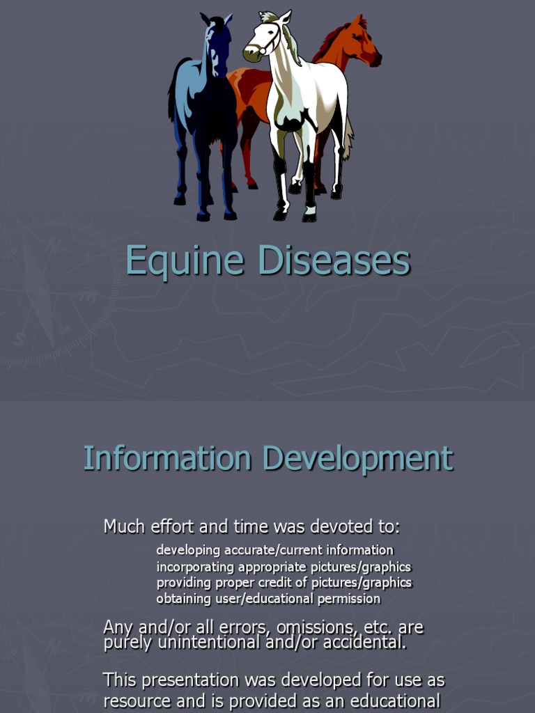 Sedgwick County Horse Disease The Facts You Need Now - i9xqjfb