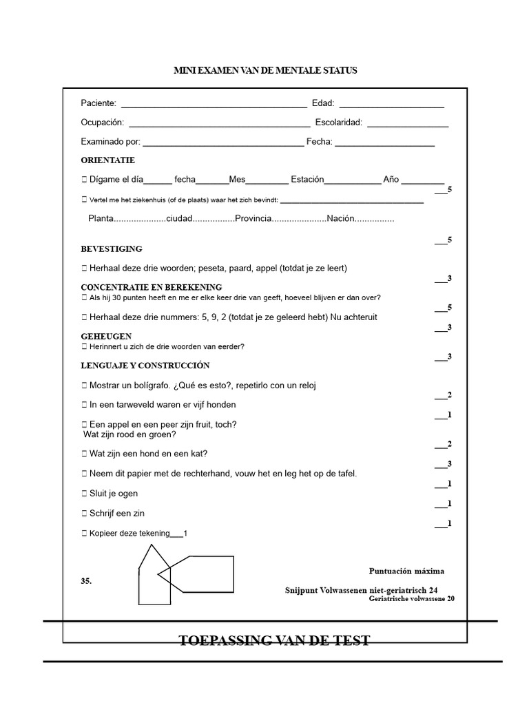 Test Minimental | PDF