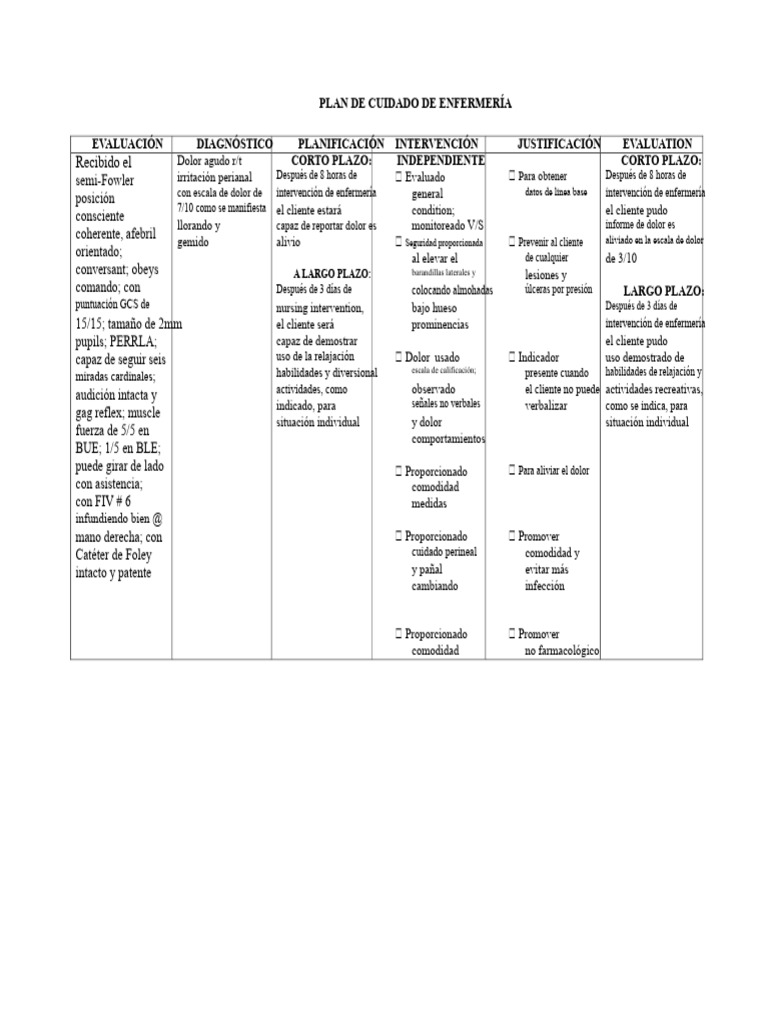 Plan de Cuidados de Enfermería | PDF | Especialidades Medicas ...