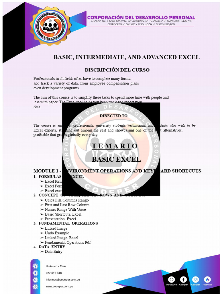 Excel Mastery: Basic to Advanced Skills | PDF | Microsoft Excel | Chart