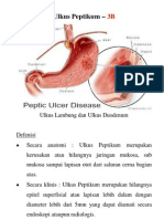 Ulkus Peptikum - 2