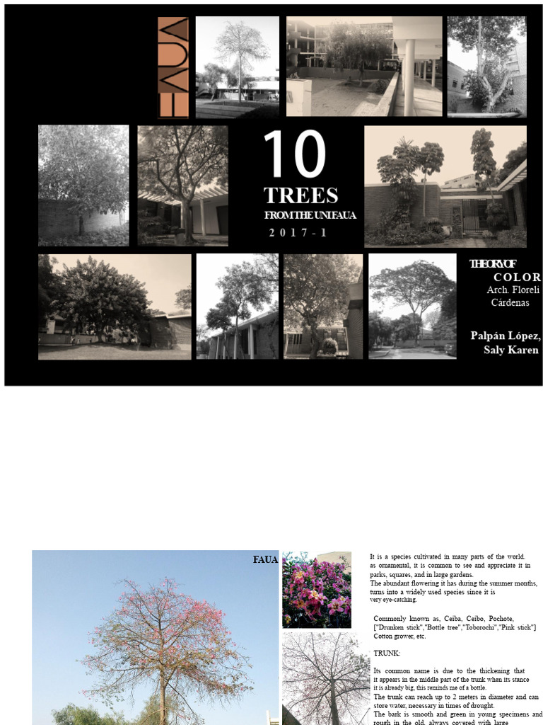 Ornamental Trees: Species Guide | PDF | Trees | Leaf