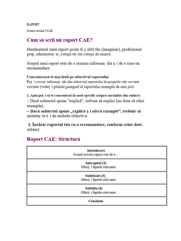 Format Raport Cae | PDF