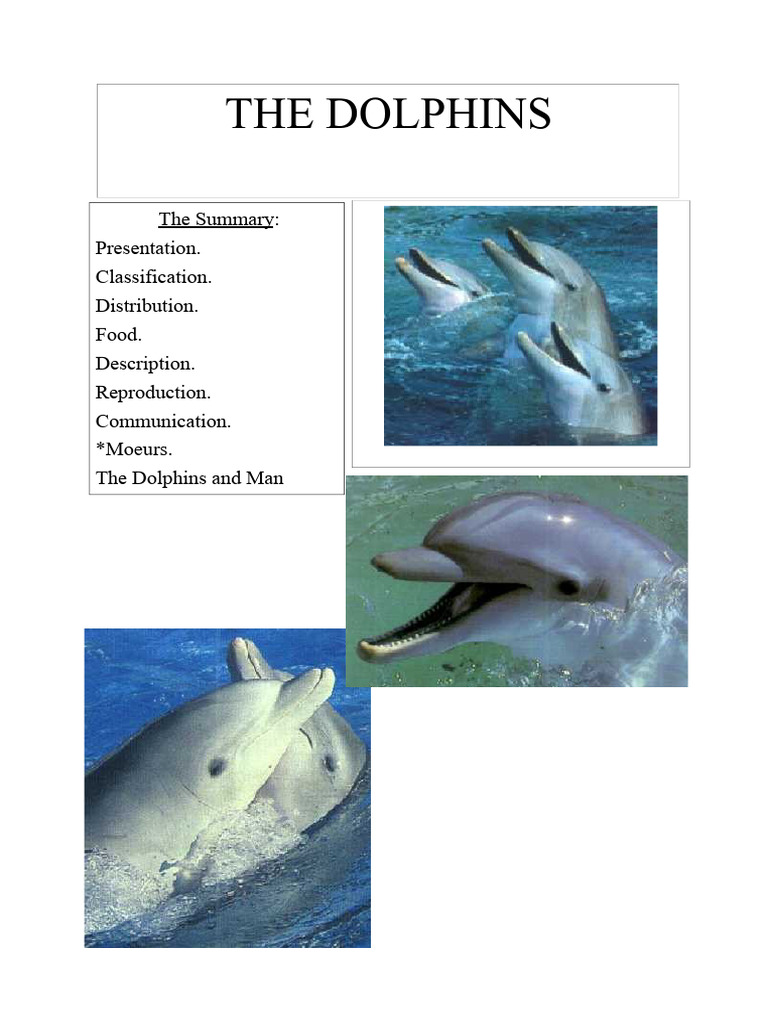 Comprehensive Guide to Dolphins | PDF | Dolphin | Cetacea