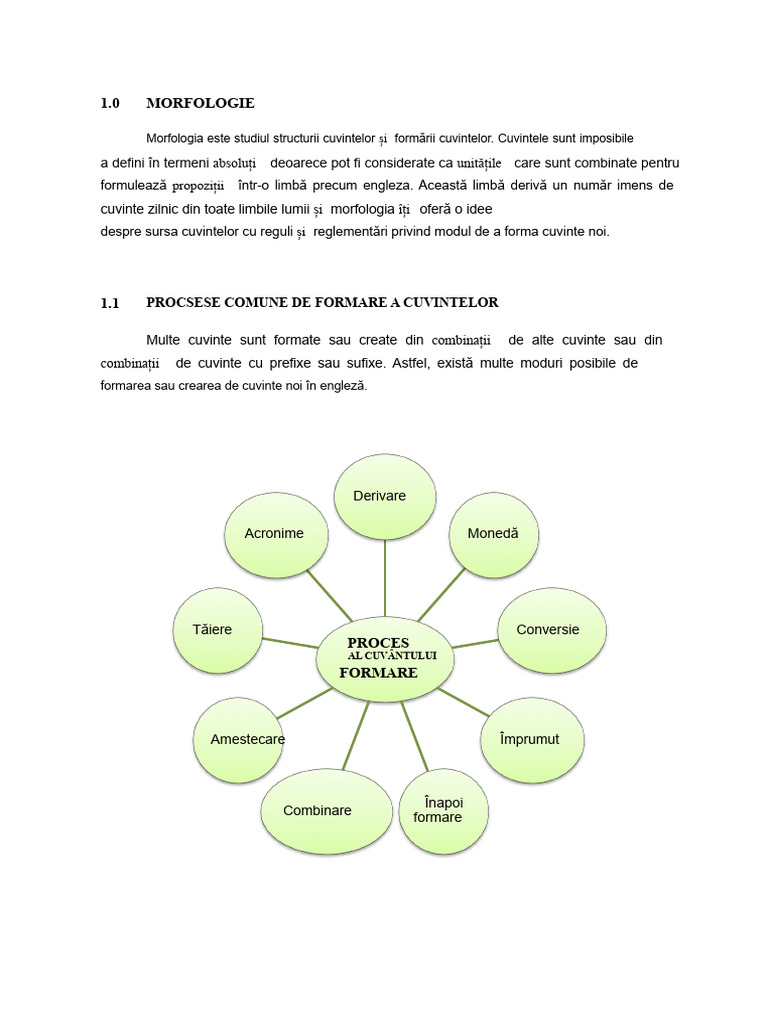 Morfologie | PDF