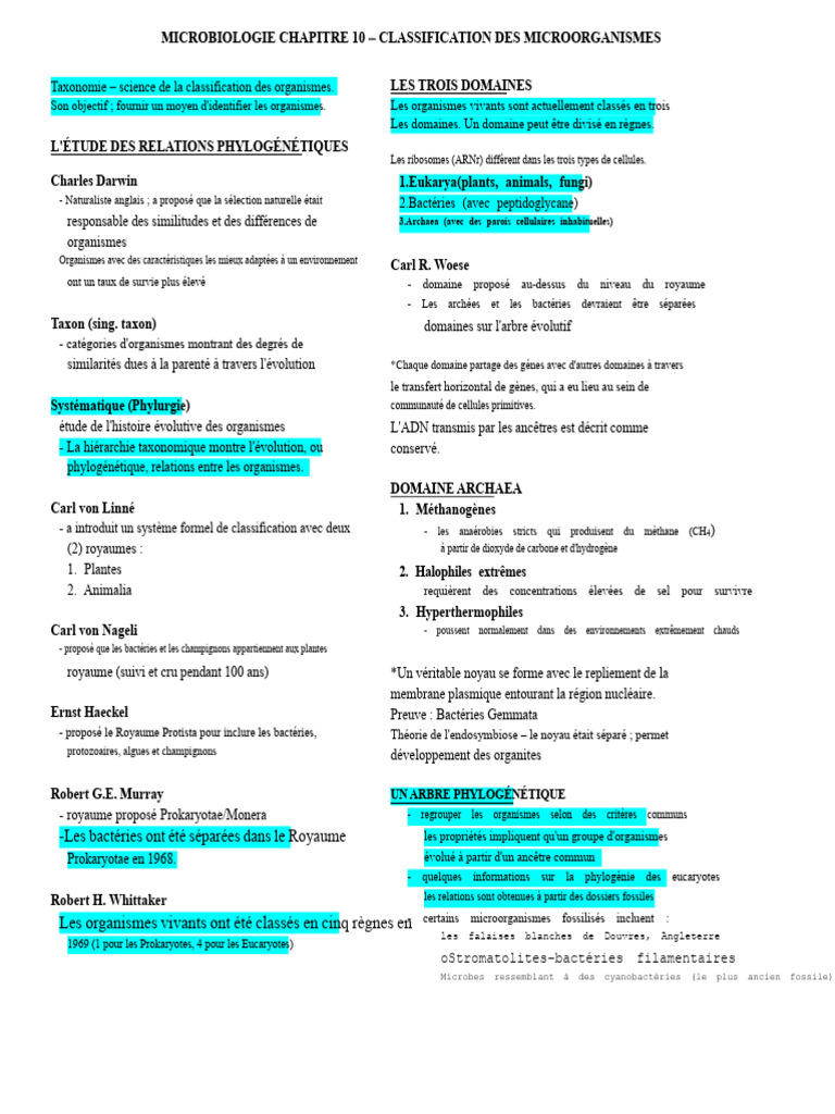 Classification des Microorganismes en Microbiologie | PDF | Prokaryota ...