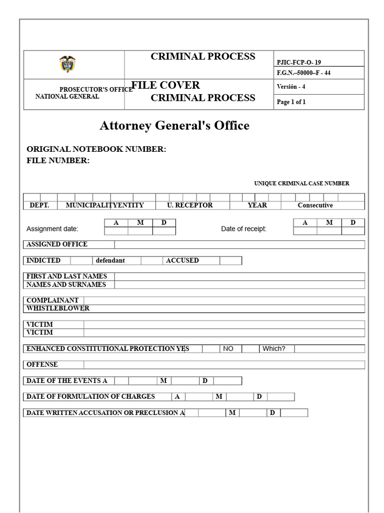 Criminal Process File Overview | PDF