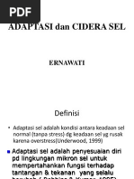 Download Presentation 2 Adaptasi Sel by ote_adi SN95257053 doc pdf