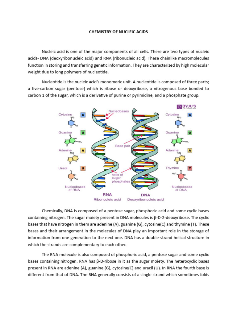 Chemistry of Nucleic Acids Explained | PDF | Nucleotides | Nucleic Acids