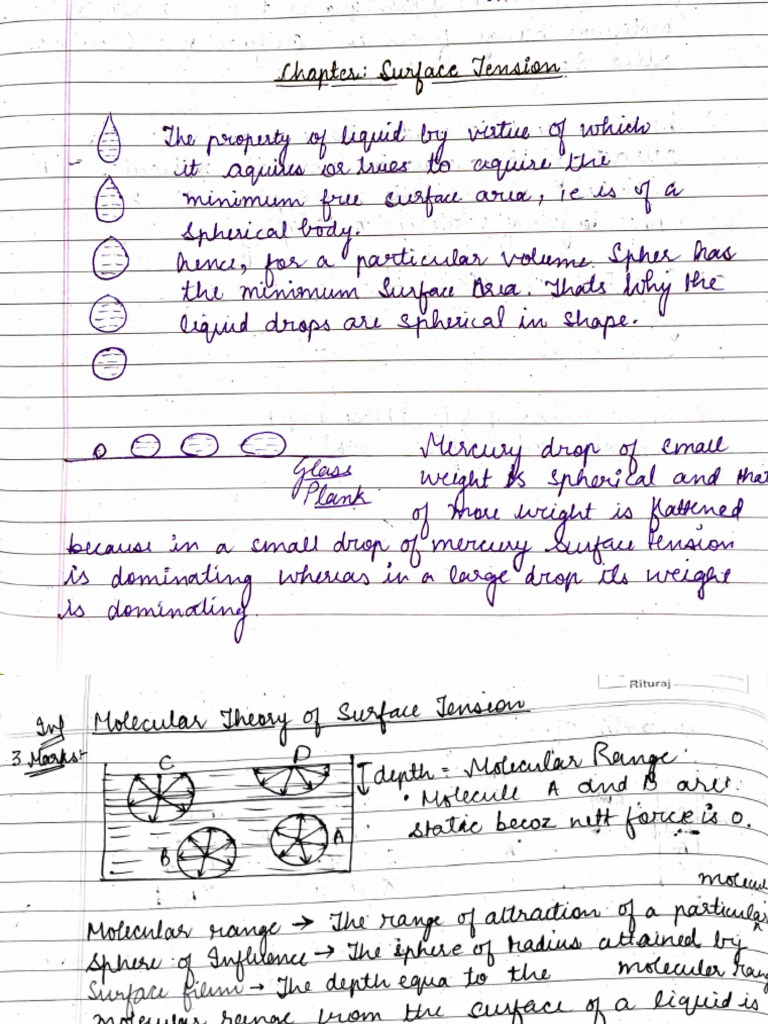 Unit 7 Notes Part 2 | PDF