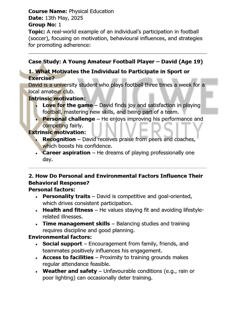 Football Participation Case Study: David | PDF | Motivation | Motivational