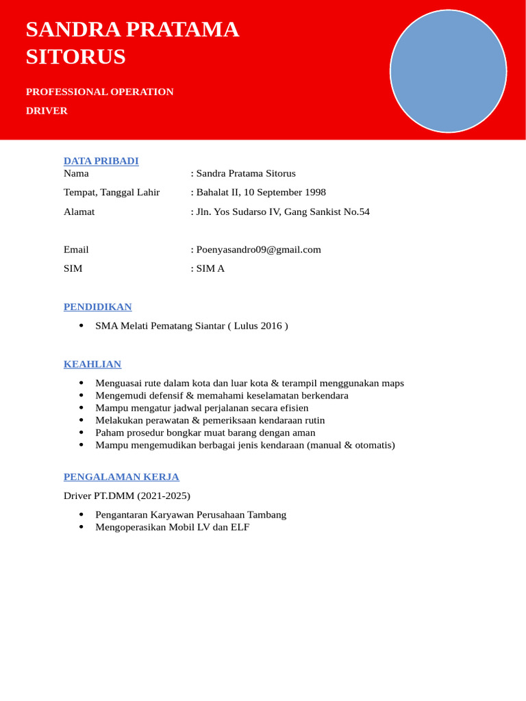 Profil Profesional Driver Sandra Sitorus | PDF