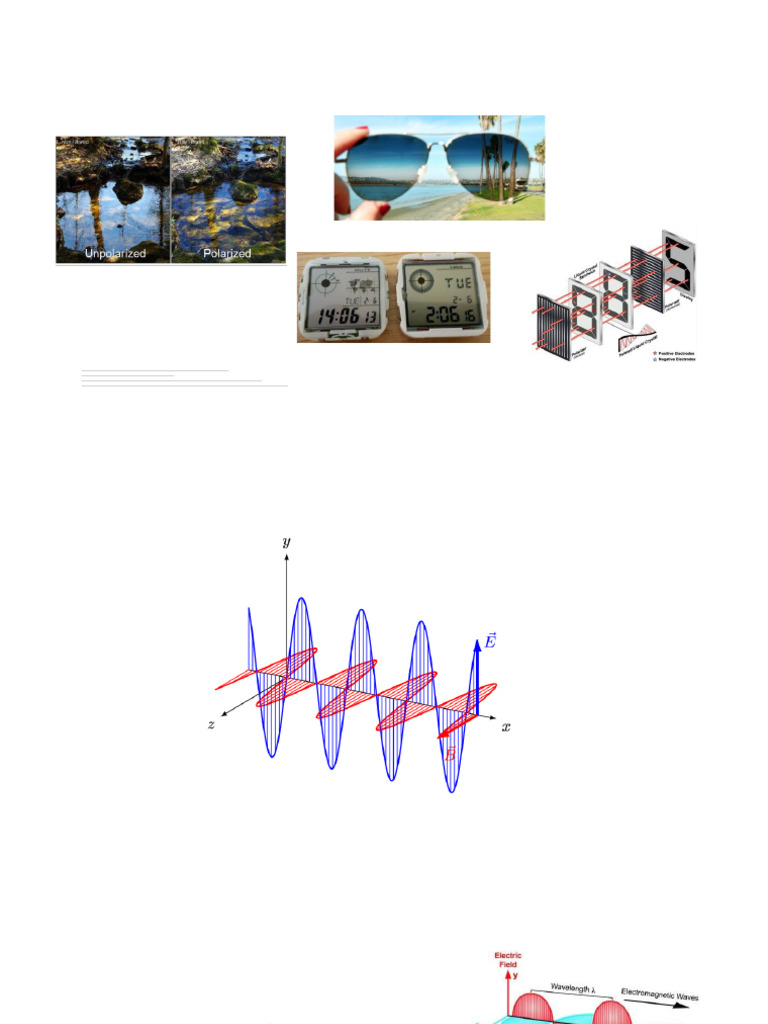 Understanding Polarization of Light | PDF | Polarization (Waves) | Waves