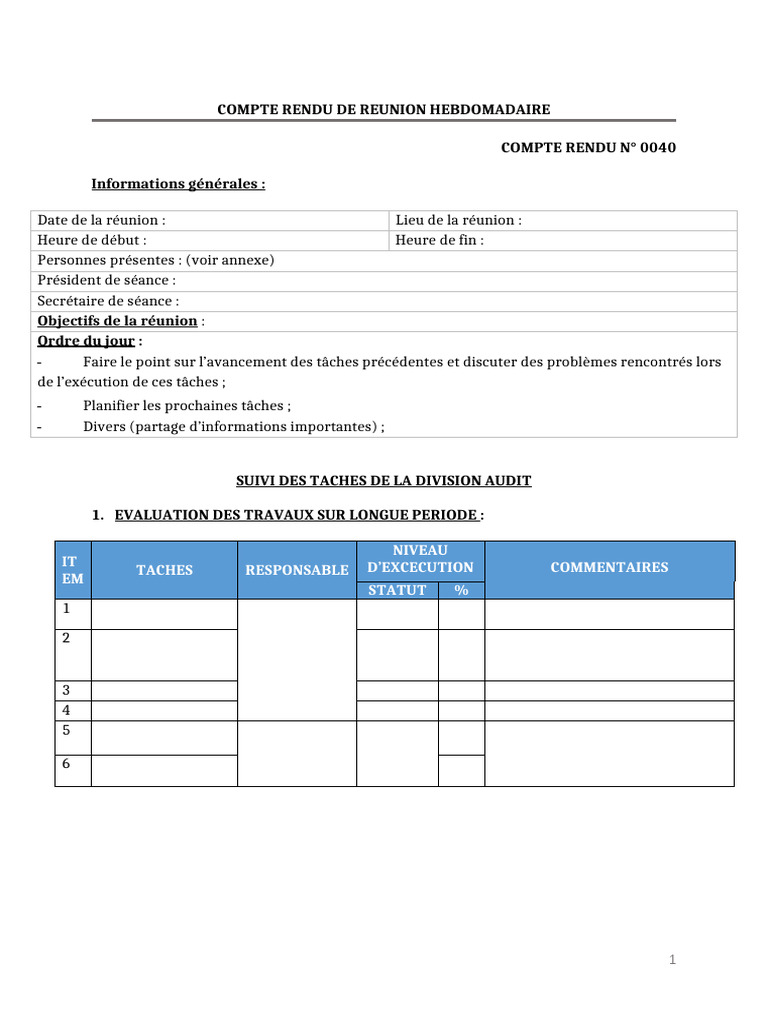 Compte Rendu Réunion Hebdo Audit 0040 | PDF
