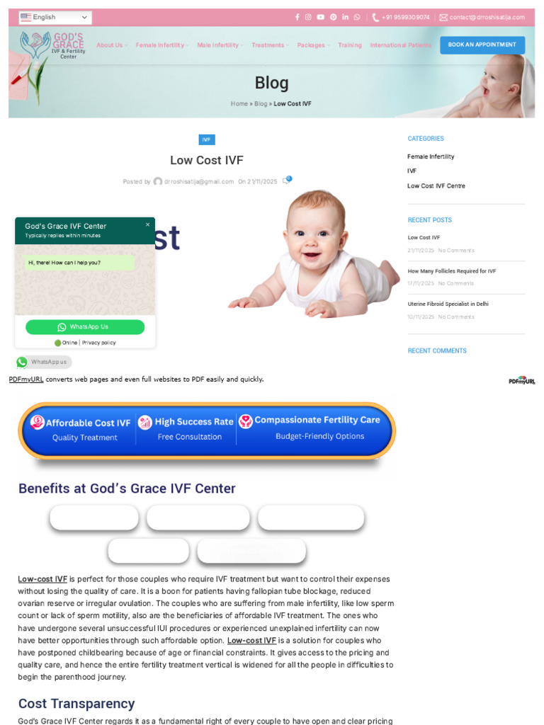Affordable IVF Solutions in Delhi | PDF | In Vitro Fertilisation ...