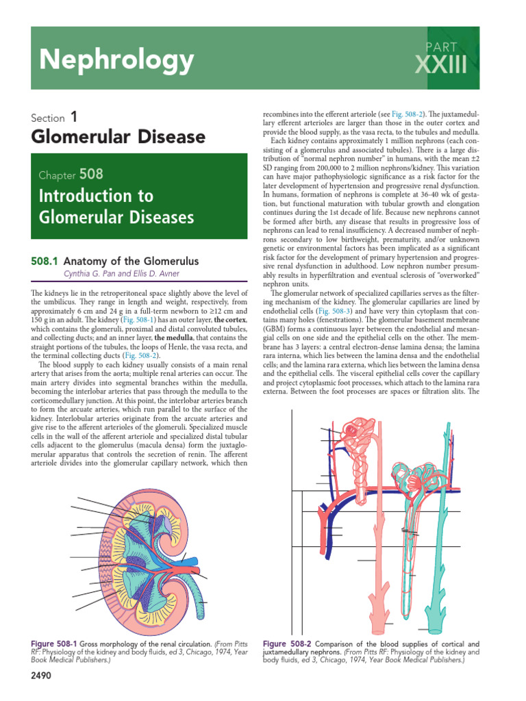 Nephrology 23 | PDF | Urinary System | Medical Specialties