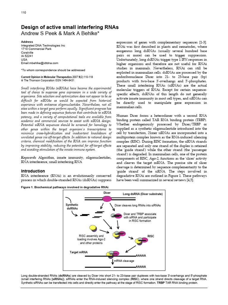 Design of Small Iterfering Rna | PDF | Small Interfering Rna | Rna ...