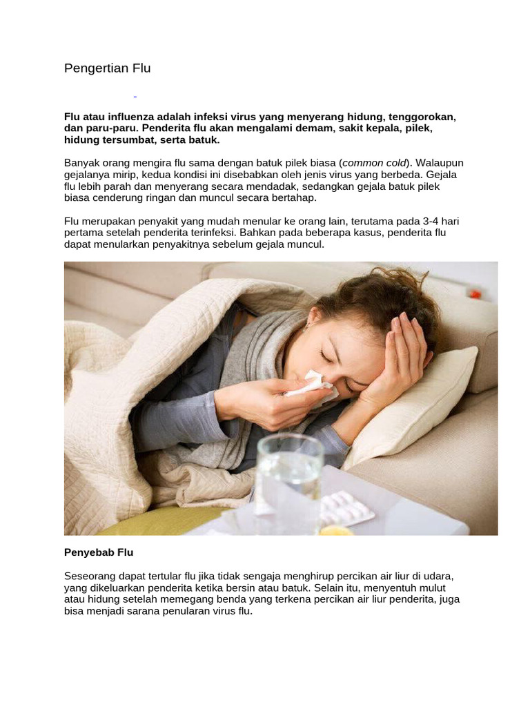 Pengertian dan Gejala Flu Influenza | PDF