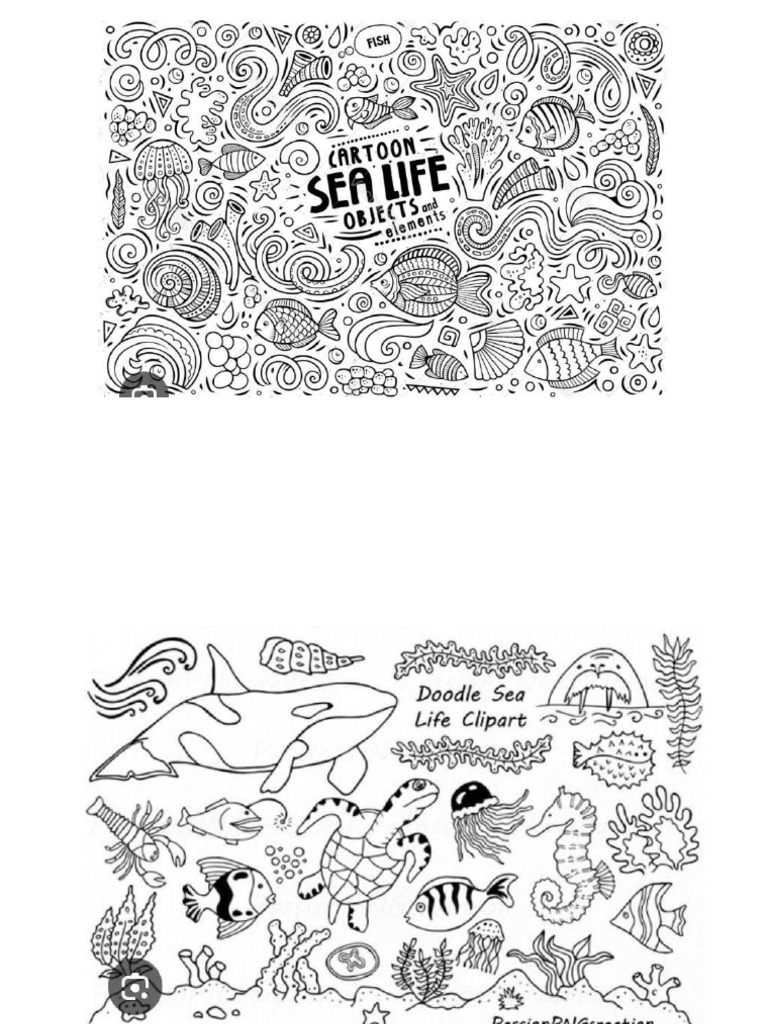 Doodle | PDF