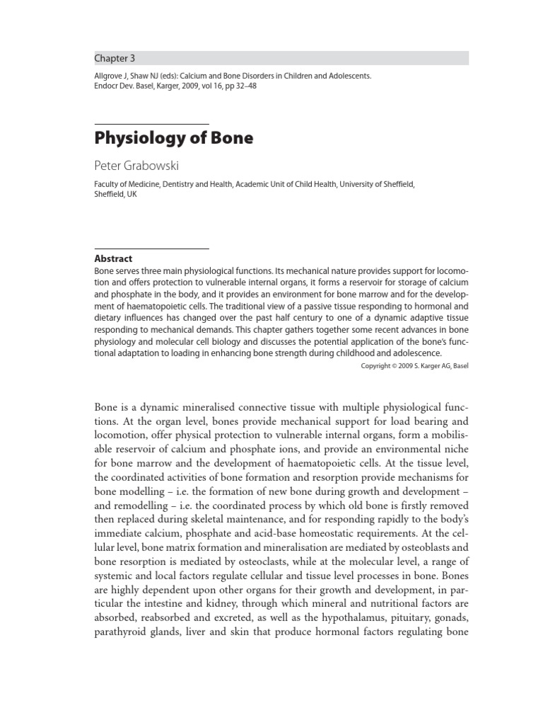 Bone Physiology Grabowsky | PDF | Bone | Osteoblast