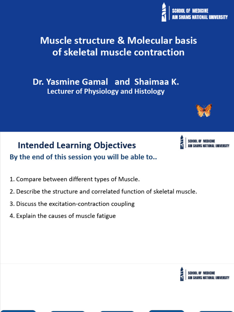 Skeletal Muscle Structure and Function | PDF | Muscle Contraction ...