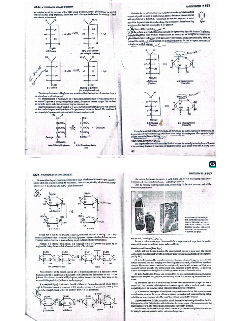 PA Lec4 (Cellulose) | PDF