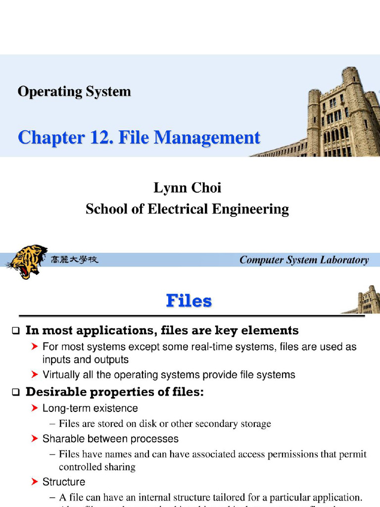File Management | PDF