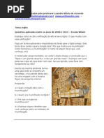 Questões Egito-por-leandro-villela-de-azevedo