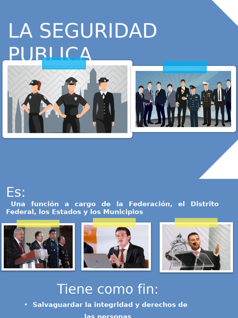 Seguridad Pública en México: Funciones y Tipos | PDF