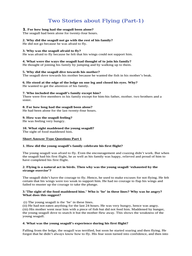 Young Seagull's First Flight Story | PDF