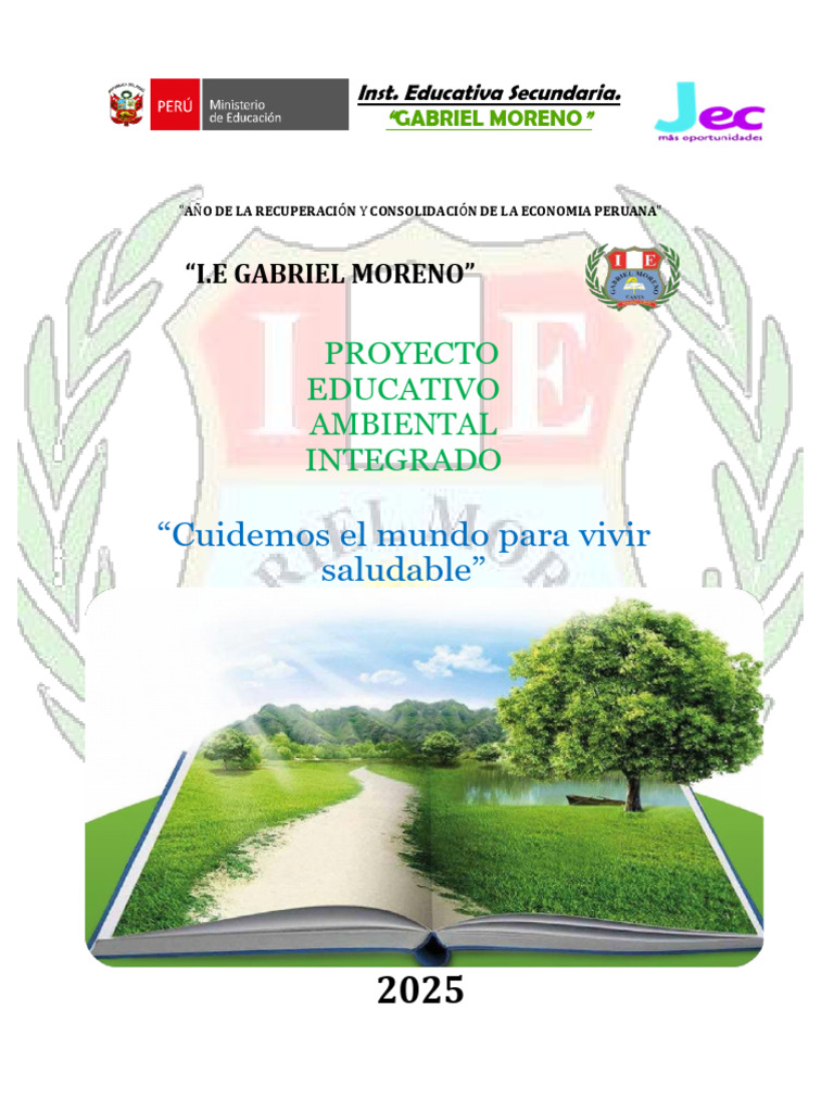 Proyecto Educativo Ambiental 2025 | PDF | Sustentabilidad | Desarrollo ...