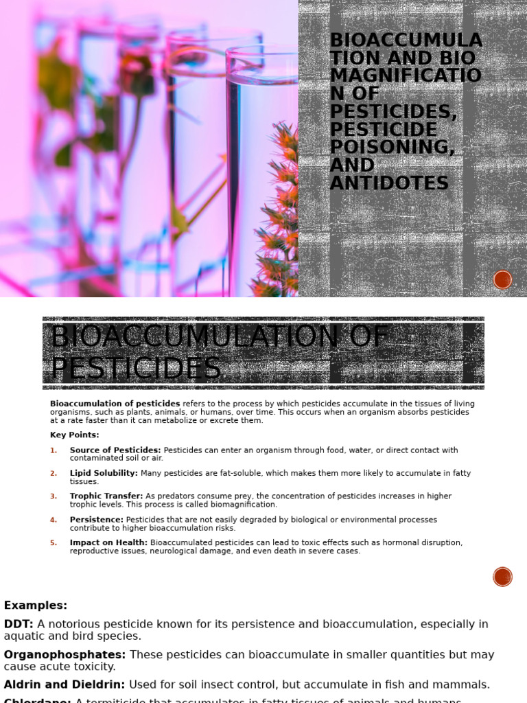 Pesticide Bioaccumulation & Antidotes | PDF | Pesticide | Poison